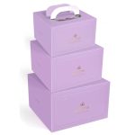 Portable Dessert Box Gift Bakery Cake Packaging Boxes with Handle 门帘