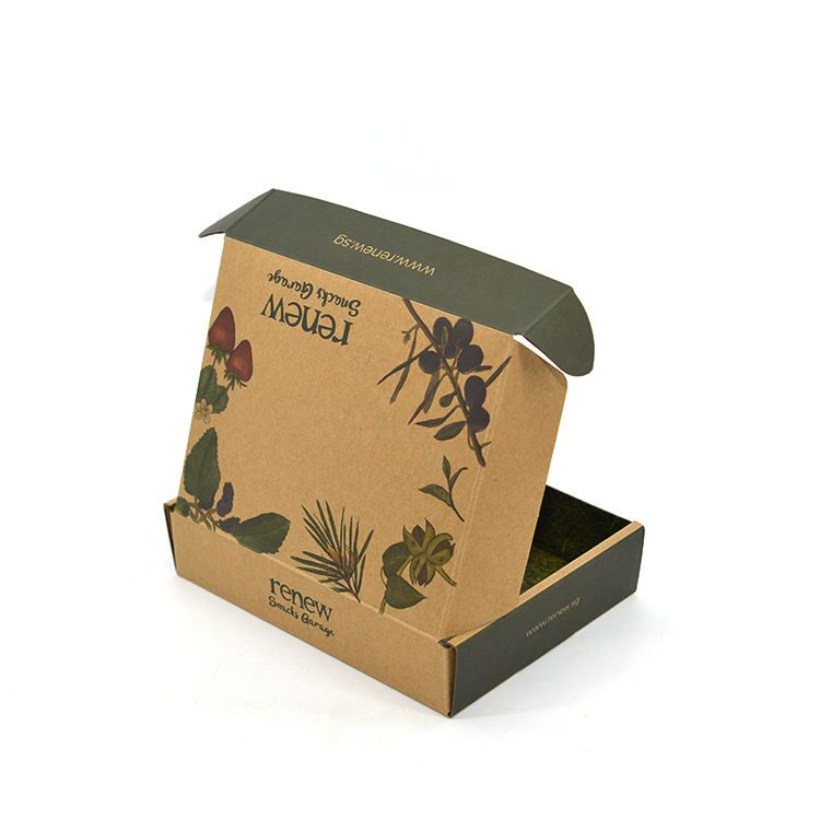Eco-friendly Materials Customized Printing Kraft Paper Mailer Box for Gift Packing 门帘