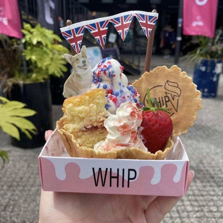 Disposable Ice Cream Dessert Takeaway Serving Tray Ice Cream Paper Tray Empty Ice Cream Tray With Lid 500ml