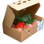Wholesale Corrugated Paper Box Tomato Peach Apple Fresh Fruit Packing Custom Printed Nice Paper Fruit Box 门帘