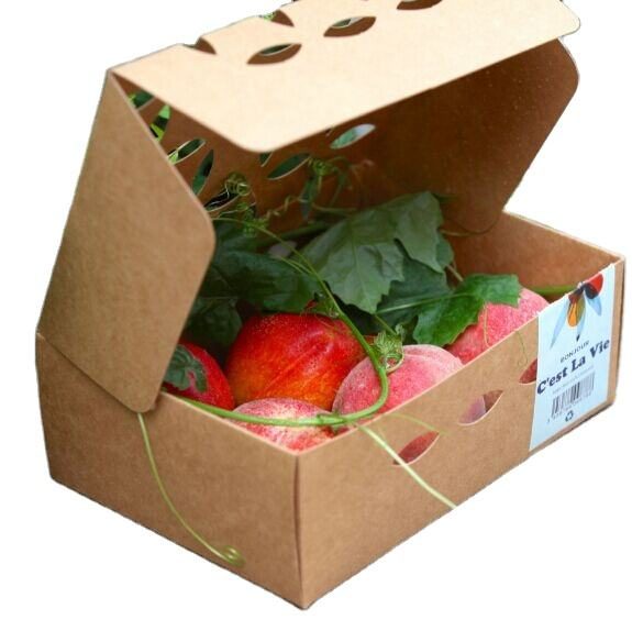 Wholesale Corrugated Paper Box Tomato Peach Apple Fresh Fruit Packing Custom Printed Nice Paper Fruit Box