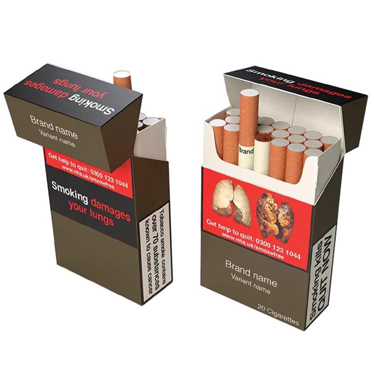 Customized Hot Sellers Mini 10 20 Packs Printed Paper Cigarette Packaging Box OEM ODM Cigarette Packaging Case