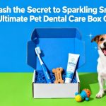 Unleash the Secret to Sparkling Smiles|The Ultimate Pet Dental Care Box Guide